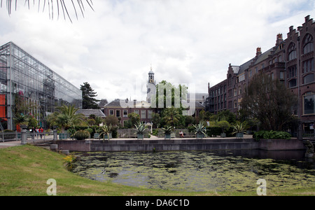 Hortus botanicus Leiden.Oldest giardino botanico dei Paesi Bassi, uno dei più antichi del mondo.located nel centro della città Foto Stock