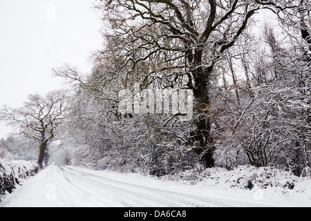 Una strada di campagna in snow, vicino Longburton, vicino a Sherborne, Dorset, Gran Bretagna. Foto Stock