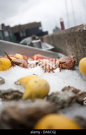 Granchi freschi, ostriche e gamberi su letto di ghiaccio con i limoni a beach cafe a Whitstable vicino alla parete del mare, con Fisherman's capanne Foto Stock