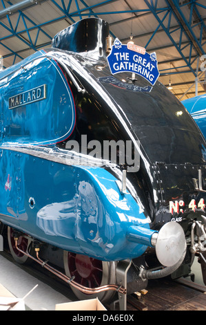 Grande raduno di A4 class locomotive a vapore al National Railway Museum di York Foto Stock