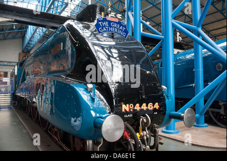 Grande raduno di A4 class locomotive a vapore al National Railway Museum di York Foto Stock