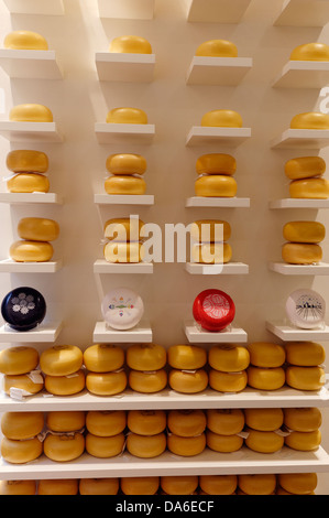 Selezione di formaggi in ruote e cunei, cheesemonger shop display in Amsterdam Paesi Bassi Foto Stock