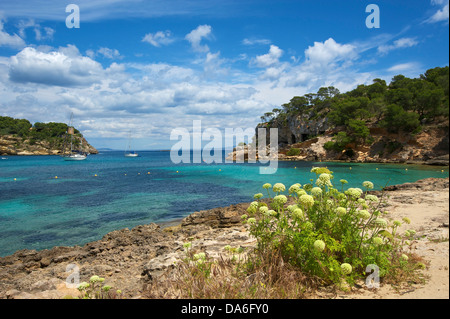 Baia di Cala Portals Vells, Portals Vells Foto Stock