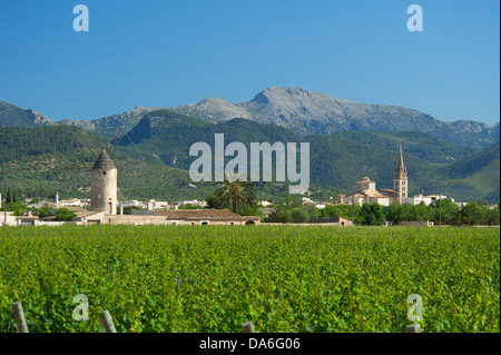 Vigneti e un mulino a vento nella parte anteriore della Serra de Tramuntana mountains Foto Stock