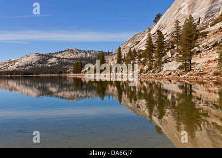 Conifere si riflette nel Lago Tenaya Foto Stock