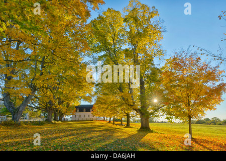 Stati Uniti d'America, Stati Uniti, America, New Hampshire, Canterbury, Nord America, Costa Orientale, New England, Merrimack County, Stati Uniti d'America, Regno St Foto Stock