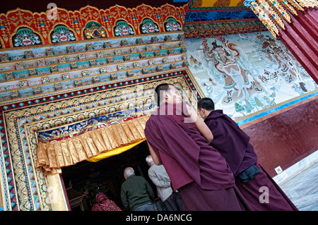 Monaci buddisti tibetani in Karma tempio. Bodhgaya,, Bihar, in India Foto Stock