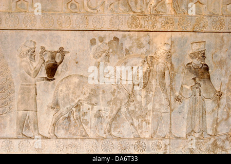 Bassorilievi in corrispondenza delle pareti del Palazzo Apadana e la scala, Persepolis, Iran centrale Foto Stock