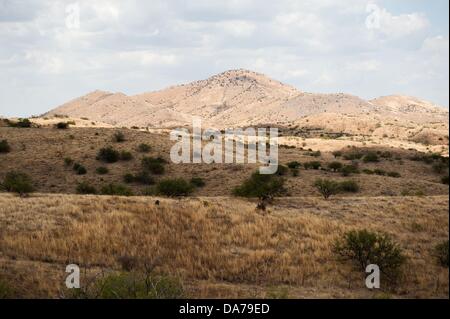 Luglio 3, 2013 - Arivaca, Arizona, Stati Uniti - il Deserto Sonoran vicino Arivaca, Ariz., circa 60 miglia a sud-ovest di Tucson, è ancora considerato una droga pesante e il contrabbando umano plaza. Centinaia di migranti morti sono stati trovati in questa zona negli ultimi 14 anni, secondo l umana le frontiere, i diritti umani di gruppo. (Credito Immagine: © sarà Seberger/ZUMAPRESS.com) Foto Stock