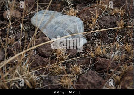 Luglio 3, 2013 - Arivaca, Arizona, Stati Uniti - un vuoto di acqua in bottiglia si siede sul pavimento del deserto nel Deserto Sonoran vicino Arivaca, Ariz., circa 60 miglia a sud-ovest di Tucson. La zona è ancora considerato una droga pesante e il contrabbando umano plaza. Centinaia di migranti morti sono stati trovati in questa zona negli ultimi 14 anni, secondo l umana le frontiere, i diritti umani di gruppo. (Credito Immagine: © sarà Seberger/ZUMAPRESS.com) Foto Stock