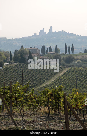 Colline Toscane vicino a San Gimignano in Toscana, Italia Foto Stock