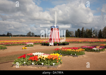 Mulino a vento al pattino di legno Tulip Farm Foto Stock