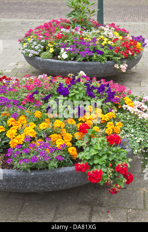 Decorazione colorata di contenitori con fiori estivi in strada di città Foto Stock