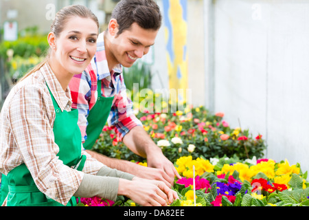 Fioristi o giardinieri in negozio di fiori, serra o vivaio Foto Stock