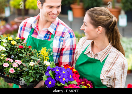 Fioristi o giardinieri in negozio di fiori, serra o vivaio Foto Stock