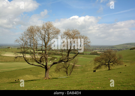 Una vista verso nord attraverso il pittoresco Steyning Bowl nel South Downs National Park in West Sussex. Foto Stock