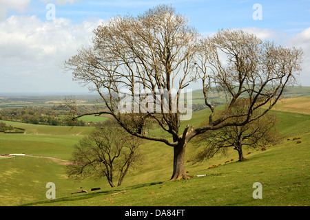 Una vista nord est attraverso il pittoresco Steyning Bowl nel South Downs National Park in West Sussex. Foto Stock