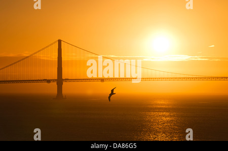 Un gabbiano davanti al Golden Gate Bridge al tramonto a San Francisco, California, USA, il 28 febbraio 2011. (Adrien Veczan) Foto Stock