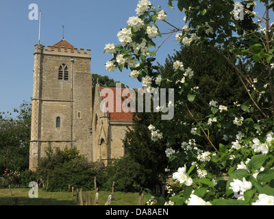 Bella Dorchester On Thames chiesa abbaziale di San Pietro e San Paolo in estate