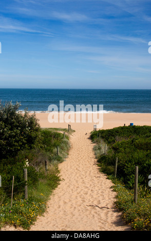 Sentiero sabbioso conduce a Killcare spiaggia Costa Centrale del Nuovo Galles del Sud (NSW) Australia Foto Stock