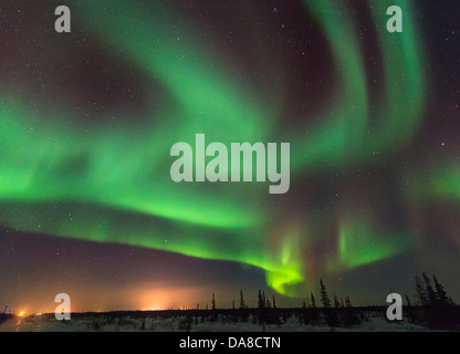 Northern lights visto da appena fuori Churchill, Manitoba in inverno. Luci della città può essere visto. Foto Stock