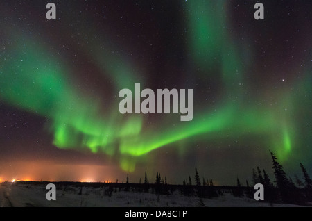 Northern lights visto da appena fuori Churchill, Manitoba in inverno. Luci della città può essere visto. Foto Stock