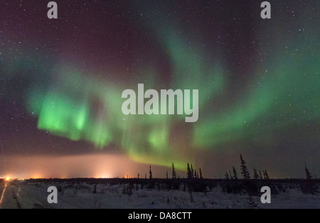 Northern lights visto da appena fuori Churchill, Manitoba in inverno. Luci della città può essere visto. Foto Stock