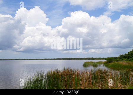 Florida Immokalee, Lago Trafford, Ann Olesky Park, acqua, sawgrass, natura, naturale, paesaggio, visitatori viaggio di viaggio turistico turismo punto di riferimento Foto Stock