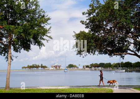 Florida San Pietroburgo San Pietroburgo, North Straub Park, il molo, Tampa Bay Water, adulti adulta donna donna donna donna donna donna donna donna, a piedi, cani, i visitatori viaggio travel Foto Stock