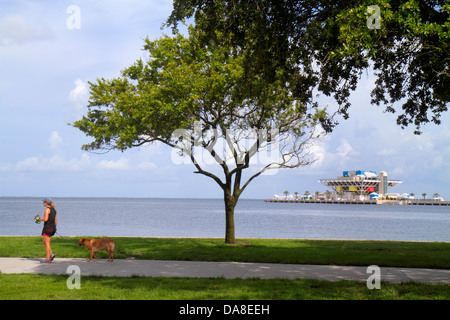 Florida San Pietroburgo San Pietroburgo, Vinoy Park, il molo, Tampa Bay Water, adulti adulta donna donna donna donna donna donna donna donna donna donna donna, a piedi, cani, i visitatori viaggio viaggio tour Foto Stock