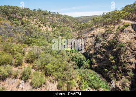 La Sturt Gorge e la Sturt fiume sottostante. Foto Stock