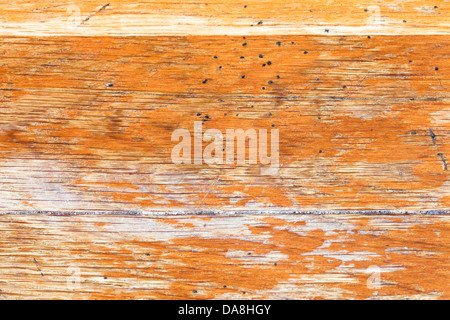 Lo sfondo da old bog oak board close up Foto Stock
