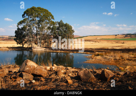 Paesaggio Di Inverno vicino Underberg, Kwazulu Natal, Sud Africa Foto Stock