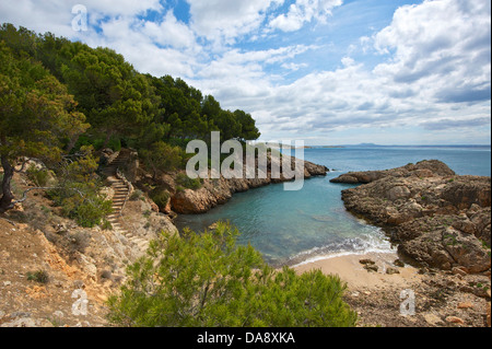 Isole Baleari, Maiorca, Mallorca, Spagna, Europa, esterno, la spiaggia di sabbia delle spiagge di sabbia, spiaggia, mare, spiagge, le spiagge, i COA Foto Stock