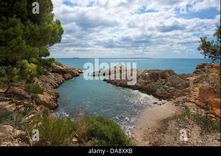 Isole Baleari, Maiorca, Mallorca, Spagna, Europa, esterno, la spiaggia di sabbia delle spiagge di sabbia, spiaggia, mare, spiagge, le spiagge, i COA Foto Stock