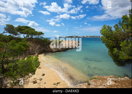 Isole Baleari, Maiorca, Mallorca, Spagna, Europa, esterno, la spiaggia di sabbia delle spiagge di sabbia, spiaggia, mare, spiagge, le spiagge, i COA Foto Stock