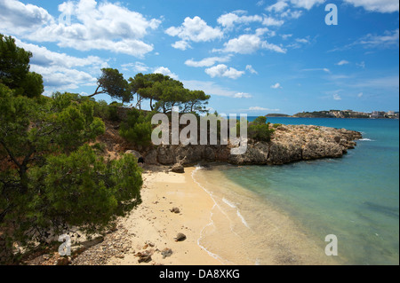 Isole Baleari, Maiorca, Mallorca, Spagna, Europa, esterno, la spiaggia di sabbia delle spiagge di sabbia, spiaggia, mare, spiagge, le spiagge, i COA Foto Stock