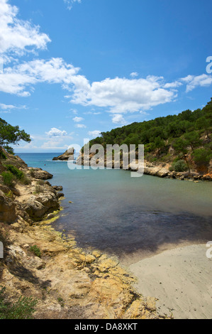 Isole Baleari, Maiorca, Mallorca, Spagna, Europa, esterno, la spiaggia di sabbia delle spiagge di sabbia, spiaggia, mare, spiagge, le spiagge, i COA Foto Stock