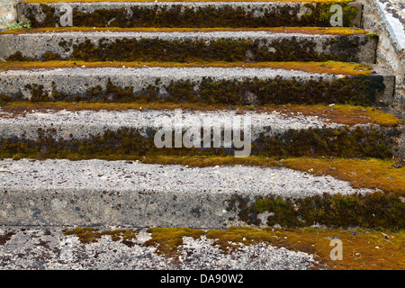 Incolto e stagionato di gradini di pietra crescente. Foto Stock