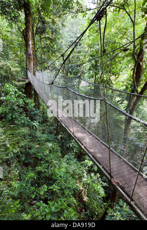 Ponte di sospensione, Rainmaker progetto di conservazione, Costa Rica Foto Stock