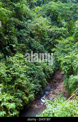Rainmaker progetto di conservazione, Costa Rica Foto Stock