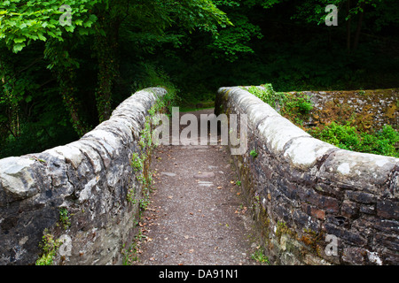 Ponte di pietra sul Walden Beck di West Burton Wensleydale Yorkshire Dales Inghilterra Foto Stock