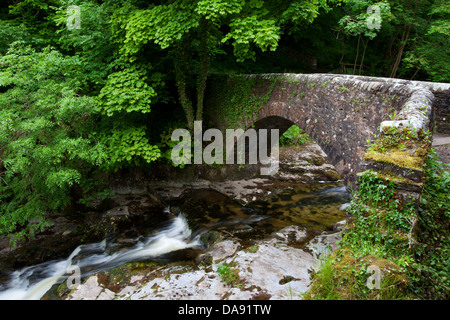 Ponte di pietra sul Walden Beck di West Burton Wensleydale Yorkshire Dales Inghilterra Foto Stock