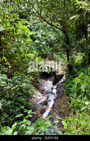 Corsa su sentiero attraverso il Rainmaker progetto di conservazione, Costa Rica Foto Stock