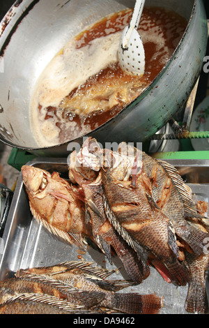 Fried Tilapia pesci vengono fritti e venduti a un esterno di mercato alimentare in Cotacachi, Ecuador Foto Stock