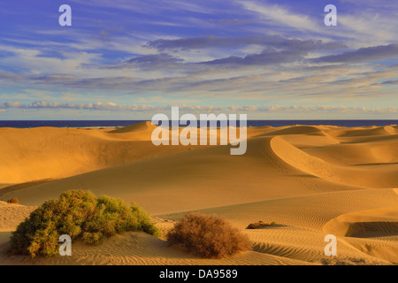 Spagna, Europa, Isole Canarie, Gran Canaria, Maspalomas, città, colorato, dune, deserto, famosa isola, naturale, sabbia, mare, sole Foto Stock