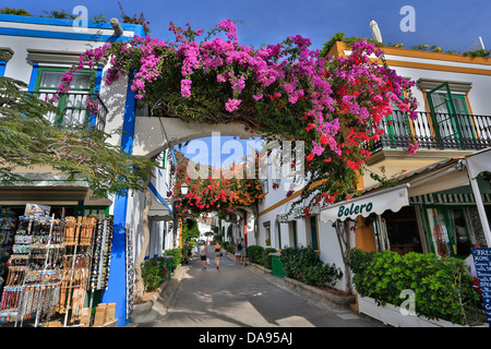 Bouganville, Spagna, Europa, Isole Canarie, Gran Canaria Mogan, Puerto, arco, architettura, colorato, famoso, fiori, islan Foto Stock