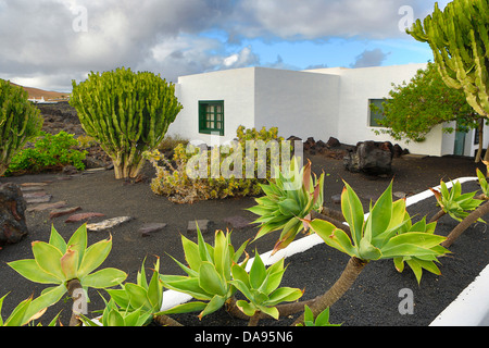 Spagna, Europa Isole Canarie Lanzarote Lanzarote architettura, nero, cactus, piante esotiche, giardino, isola, lava, tramonto, t Foto Stock
