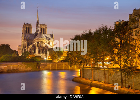 Cattedrale di Notre Dame lungo il Fiume Senna, Parigi Francia Foto Stock