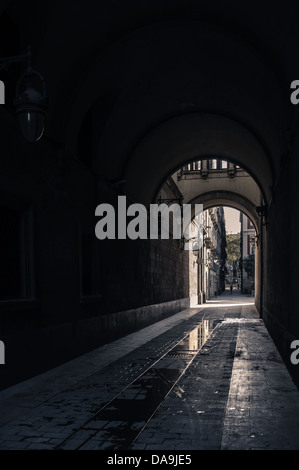 Portico nella città vecchia di Barcellona. Spagna. Foto Stock